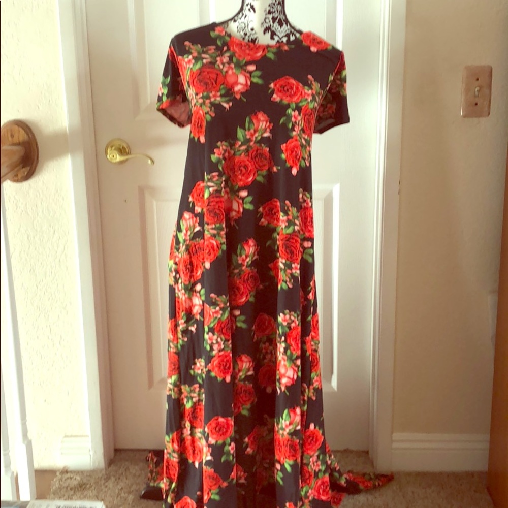 Floral maxi dress - new & never worn